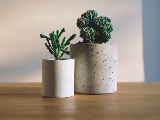 Random mini plants