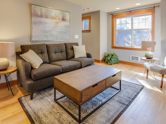 Gray softy sofa