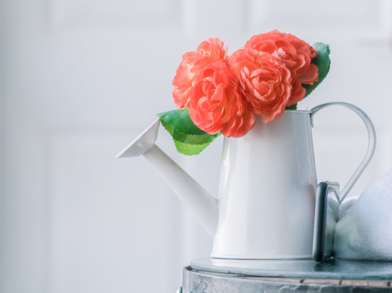 Decorative watering can