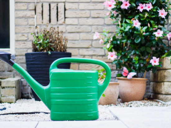 Plastic watering can