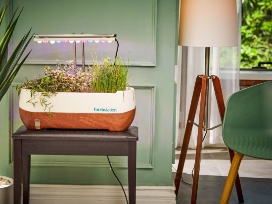 Herbstation_terrarium
