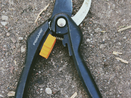 Mini secateurs