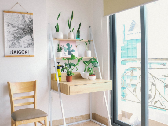 Plant decorative furniture