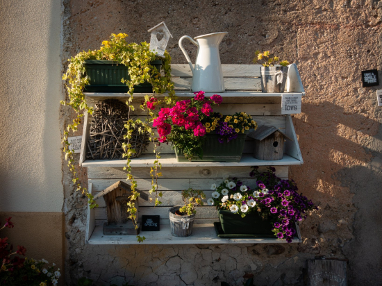 Random set of plants