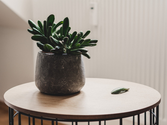 Clay vase