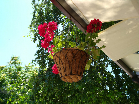Decorative hanging flowerpot