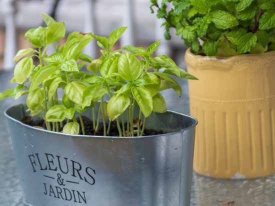 Aluminium flowerpot