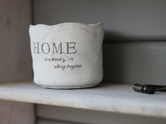 Home plant pot