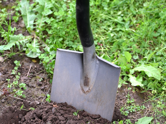 Shovel