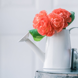 Decorative watering can