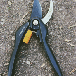 Mini secateurs