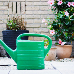 Plastic watering can